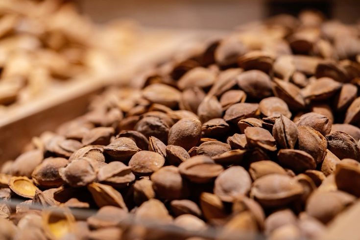 Tatlı Kayısı Çekirdeği İçi 500 gr Net Paket