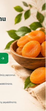 Malatya Doğal Gün Kurusu Kayısı